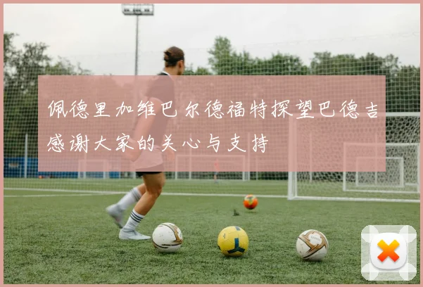 佩德里加维巴尔德福特探望巴德吉感谢大家的关心与支持
